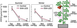Nighttime Supplemental LED Inter-lighting Improves Growth and Yield of Single