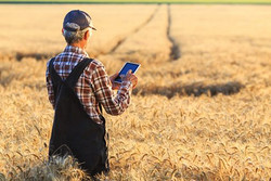 Osram’s Infrared LED Tells Farmers When to Harvest