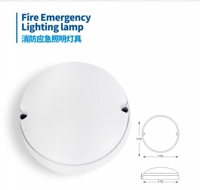 Guanan simple individual fire led emergency lamp