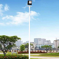 Park White Pole Floodlight