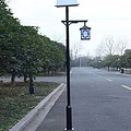 Landscape Solar Street Lamp