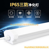 IP65 three anti - highlighting purification lamp