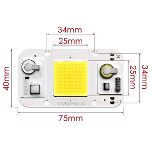 The LED module