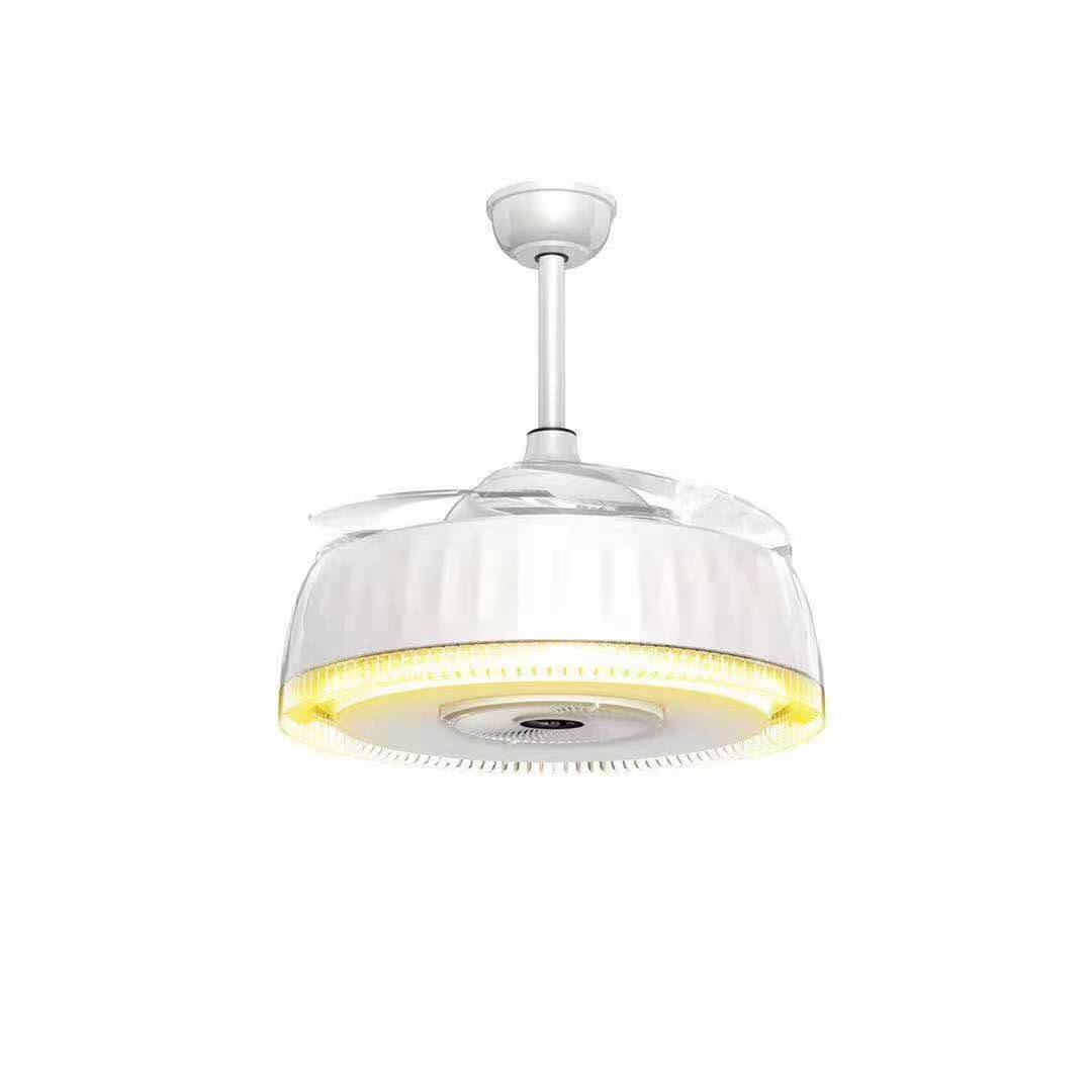 Modern Invisible Fin Color Light Fan Lamp
