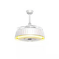 Modern Invisible Fin Color Light Fan Lamp