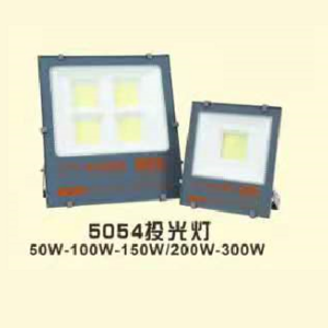 LED 5054 Floodlight