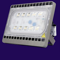 LED Public Occasions Floodlight