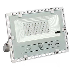 IP66 50W Floodlight