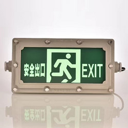 Fire and explosion emergency lighting for safety exit