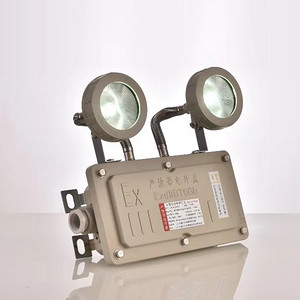 Explosion-proof double-headed emergency light fire exit indicator light