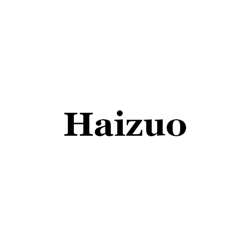 Shenzhen Haizuo Optoelectronics Co. LTD