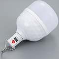 Highlight low-voltage LED rechargeable light bulb for outdoor campers