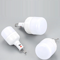 Outdoor booth camping home with battery display LED rechargeable light bulb