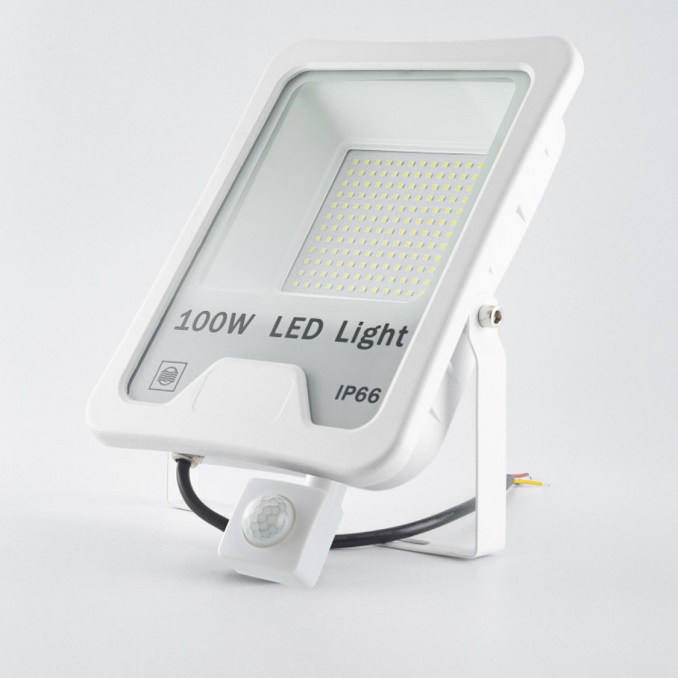 LED 100W Floodlight