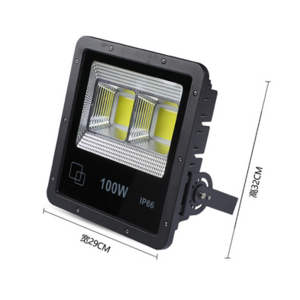 Highlight Outdoor IP66 Floodlight 100W