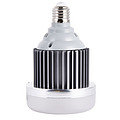 LED Fill Light Fin Light Bulb