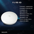 Wall Mounted Body Sensor Ceiling Lamp