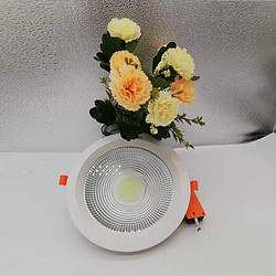 Home living room sky lamp embedded COB downlight