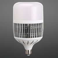 LED Scale Heat Dissipation Light Bulb