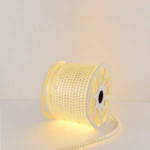 AC SMD LED Strip Light 2835-8-88