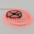 DC SMD LED Strip Light 505-10-60 RGB