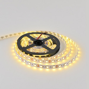 DC12V/24V SMD LED Strip Light 5050