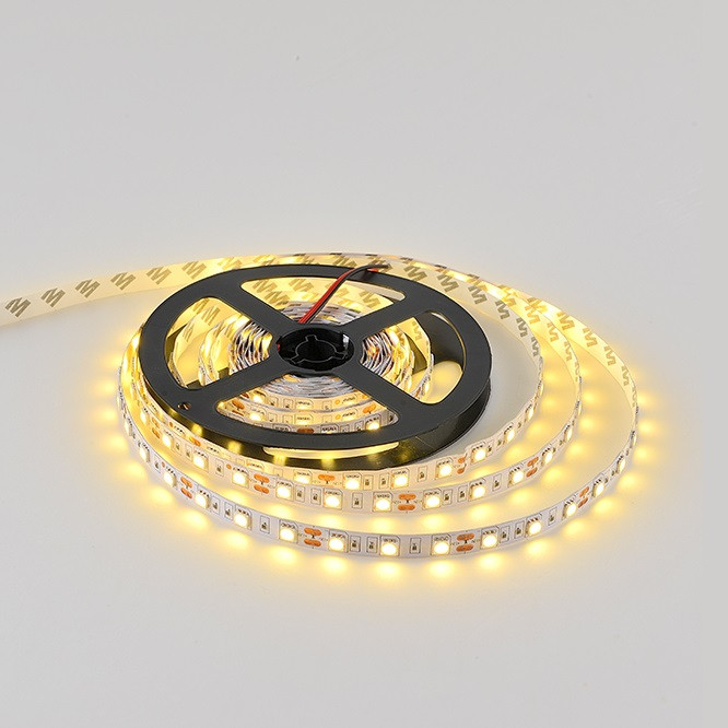 DC12V/24V SMD LED Strip Light 5050