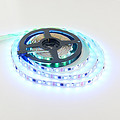 DC SMD LED Strip Light 505-10-60 Magic RGB