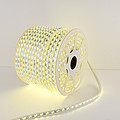 AC SMD LED Strip Light 5730-10-120 Double color