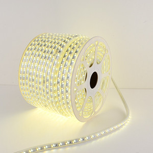 AC SMD LED Strip Light 5730-10-120 Double color