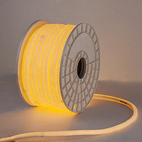 AC LED NEON Flex Strip Light 360 Lighting