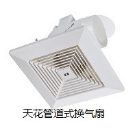 Ceiling duct type ventilator