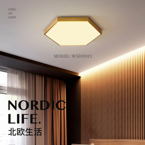 Modern Minimalist Hexagon Ceiling Lamp