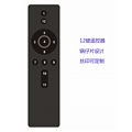 Customized Black Remote Control