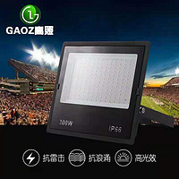 IP66 Outdoor Highlight 300W LED Projection Lamp