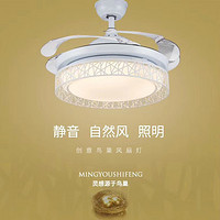 Bird's Nest LED Dimming Fan Lamp