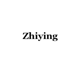 Zhongshan Zhiying Lighting Technology Co.,Ltd.