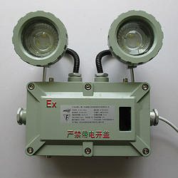 Explosion Proof Double Head LED Fire Emergency Light