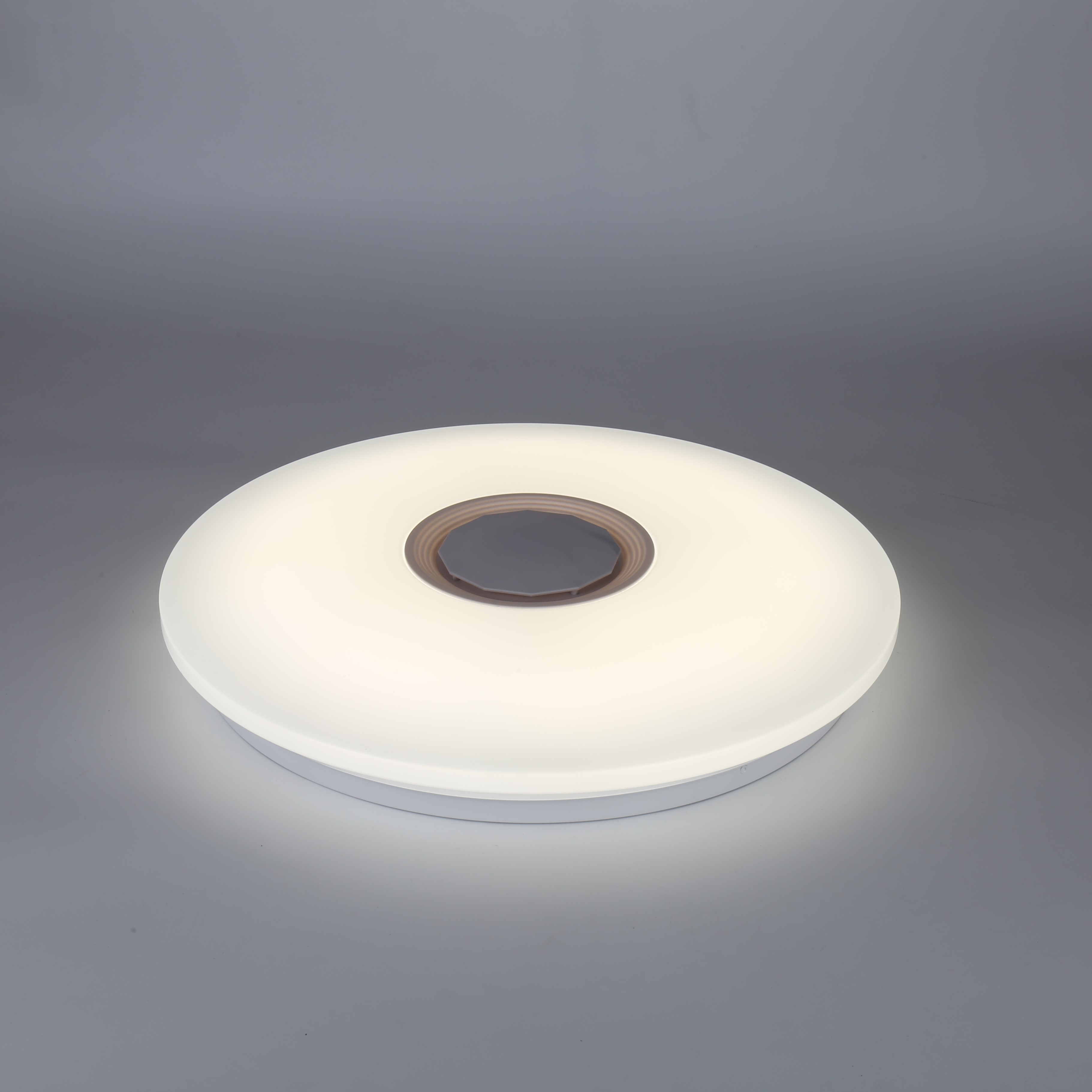 Modern simple circular LED ceiling light for indoor use