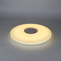 Modern simple circular LED ceiling light for indoor use