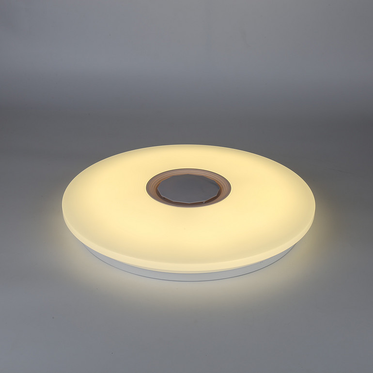 Modern simple circular LED ceiling light for indoor use