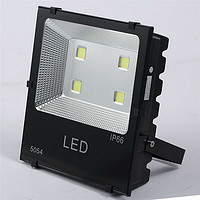 Advertising LED Color Floodlight