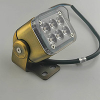 Outdoor Golden LED Floodlight