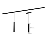 Modern Simple Hanging Line Spot Light