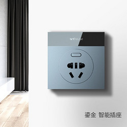 Bedroom Gold Plated Smart Socket