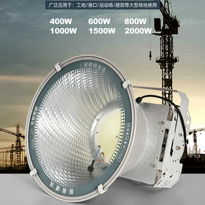 Dissipate Heat Scale LED Floodlight