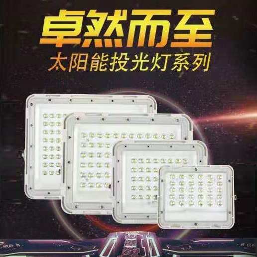 Playground LED Solar Floodlight