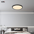 Anti Blue Light Bedroom Study Moon Series Ceiling Light