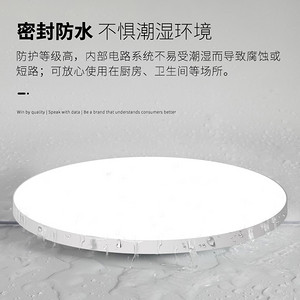 Tri-proof ceiling light indoor lighting