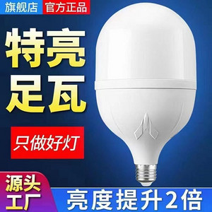 Plastic coated aluminum LED bulb